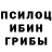 Псилоцибиновые грибы прущие грибы Kotya Dahmer