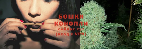 гашик Бородино