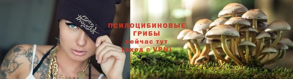 гашик Бородино