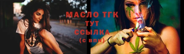 гашик Бородино