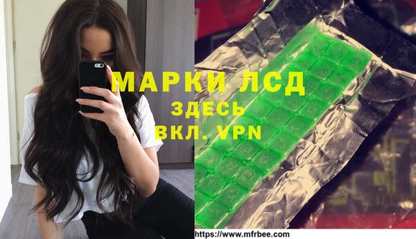 гашик Бородино