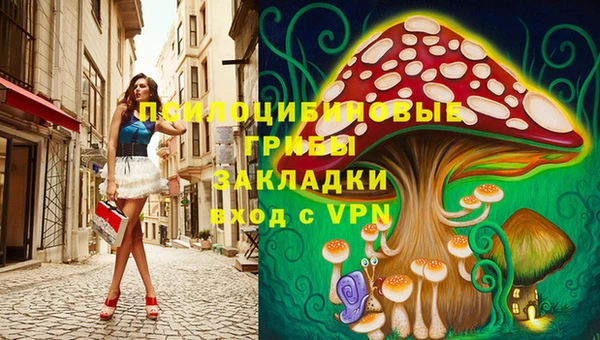 ПСИЛОЦИБИНОВЫЕ ГРИБЫ Бронницы