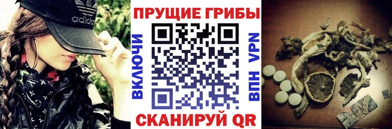 Купить  Гуково  Галлюциногенные грибы мухоморы 